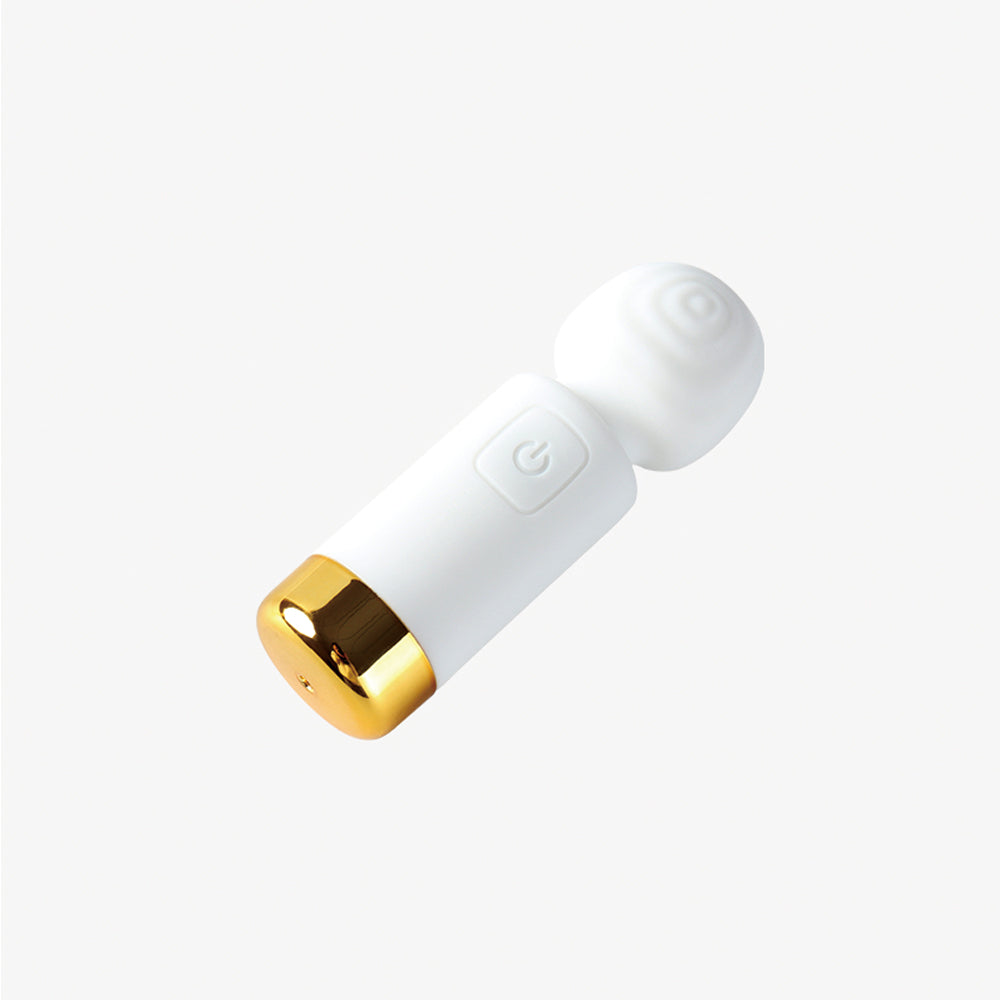Mini Massager
